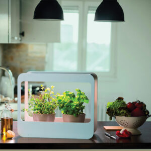 homegarden 3 2