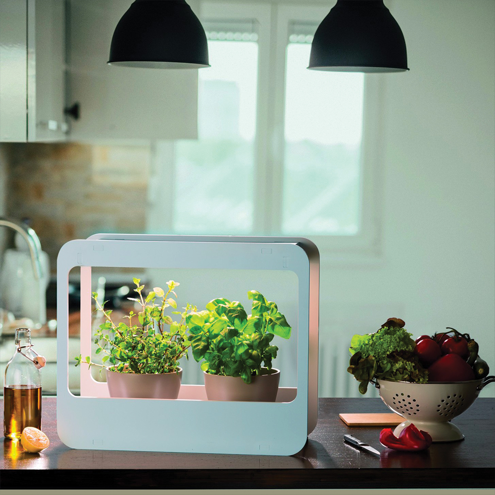 Potager d'intérieur à lampe de croissance horticole